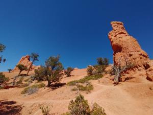 Red Canyon Dixie National Forest_Panguitch Utah